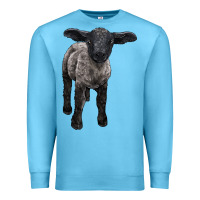 Ocean Blue suffolk baby sheep Premium Sweatshirt - LillyAllenDesigns
