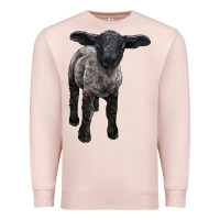 Pale Pink suffolk baby sheep Premium Sweatshirt - LillyAllenDesigns