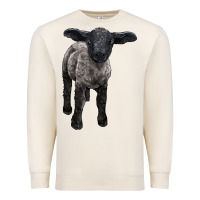 Sandshell suffolk baby sheep Premium Sweatshirt - LillyAllenDesigns