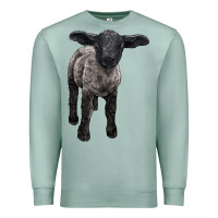 Seafoam suffolk baby sheep Premium Sweatshirt - LillyAllenDesigns