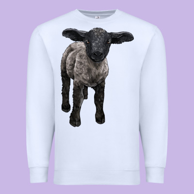 Suffolk Baby Sheep Premium Sweatshirt Designed By Lillyallendesigns