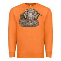 Carrot merino wool sheep head Premium Sweatshirt - LillyAllenDesigns