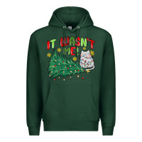 Sports Green it wasn't me! christmas cat Premium Hoodie - MaliasSmallBusiness