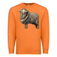Carrot merino wool sheep Premium Sweatshirt - LillyAllenDesigns