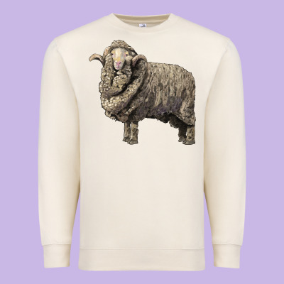 Merino Wool Sheep Premium Sweatshirt Designed By Lillyallendesigns