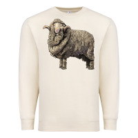 Sandshell merino wool sheep Premium Sweatshirt - LillyAllenDesigns