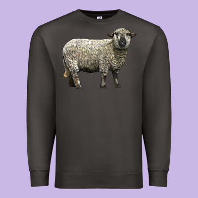 Hampshire Sheep Premium Sweatshirt Designed By Lillyallendesigns