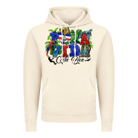 Vintage Artic pura vida costa rica rana Vintage Hoodie - RanaPortraitStore