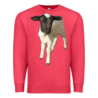 Cardinal dorper baby sheep Premium Sweatshirt - LillyAllenDesigns