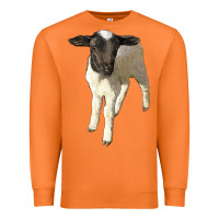 Carrot dorper baby sheep Premium Sweatshirt - LillyAllenDesigns