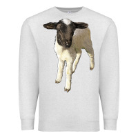 Oatmeal Heather dorper baby sheep Premium Sweatshirt - LillyAllenDesigns