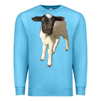Ocean Blue dorper baby sheep Premium Sweatshirt - LillyAllenDesigns