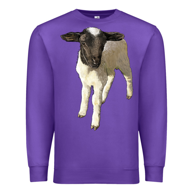 Dorper Baby Sheep Premium Sweatshirt by LillyAllenDesigns | Teevron