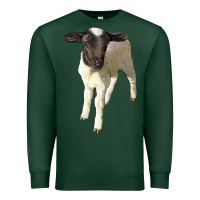 Sports Green dorper baby sheep Premium Sweatshirt - LillyAllenDesigns
