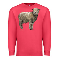 Southdown Sheep Premium Sweatshirt | Teevron