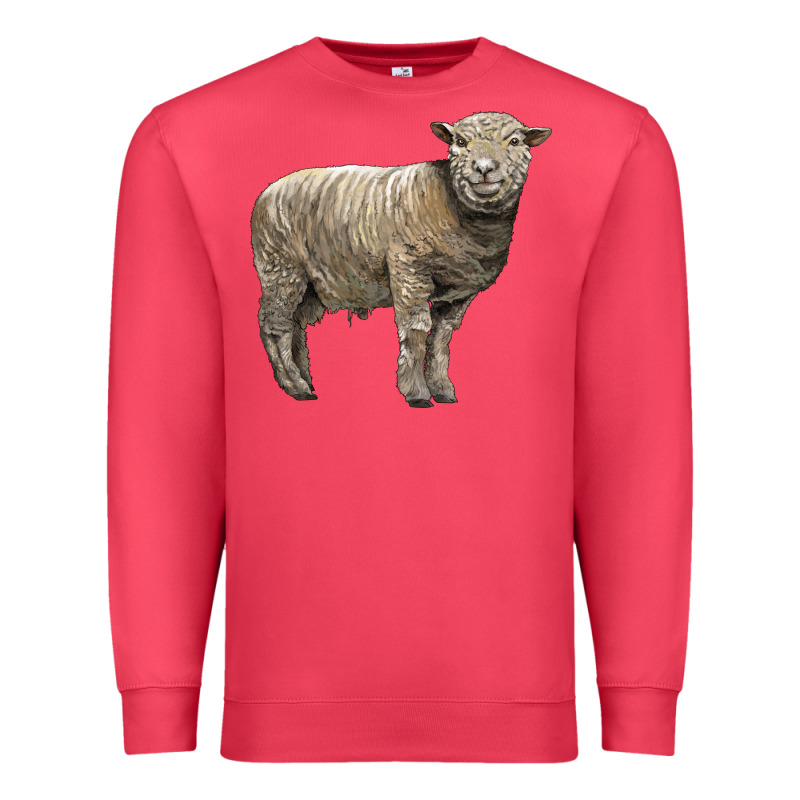 Southdown Sheep Premium Sweatshirt by LillyAllenDesigns | Teevron