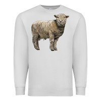 Dove Grey southdown sheep Premium Sweatshirt - LillyAllenDesigns