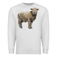 Oatmeal Heather southdown sheep Premium Sweatshirt - LillyAllenDesigns