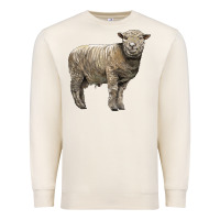 Sandshell southdown sheep Premium Sweatshirt - LillyAllenDesigns