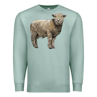 Seafoam southdown sheep Premium Sweatshirt - LillyAllenDesigns