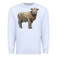 White southdown sheep Premium Sweatshirt - LillyAllenDesigns