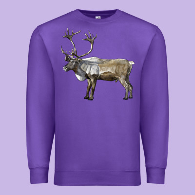 Reindeer Buck Deer Premium Sweatshirt Designed By Lillyallendesigns