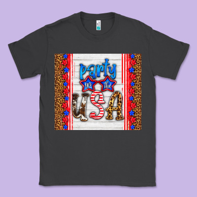 Party In The Usa Classic Tee Designed By Hra Design Shop