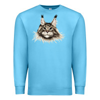 Ocean Blue Maine Coon Cat Face Premium Sweatshirt - LillyAllenDesigns