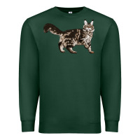 Sports Green Maine Coon Cat Premium Sweatshirt - LillyAllenDesigns