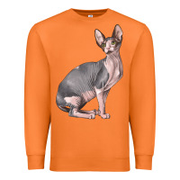 Carrot Sphynx Cat Premium Sweatshirt - LillyAllenDesigns