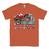 Copper i crushed 100 days Classic Tee - RacoonDesign