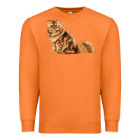 Carrot Persian Cat Premium Sweatshirt - LillyAllenDesigns
