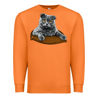 Carrot Scottish Fold Premium Sweatshirt - LillyAllenDesigns