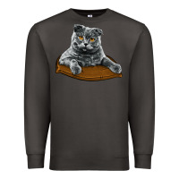 Smoke Scottish Fold Premium Sweatshirt - LillyAllenDesigns