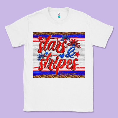 Stars And Stripes Tumbler Classic Tee Designed By Hra Design Shop