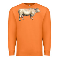 Carrot charolais cattle Premium Sweatshirt - LillyAllenDesigns