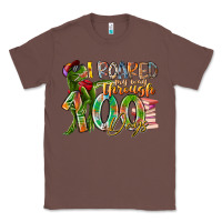 Chestnut i roared my way through 100 days Classic Tee - RacoonDesign