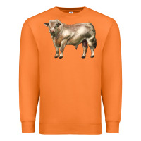 Carrot charolais bull Premium Sweatshirt - LillyAllenDesigns
