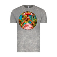 Cloud Rock flamingos with western background Vintage Tee - BarkalooDesign