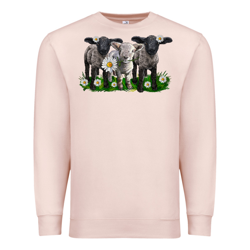 Baby Sheeps With Daisies Premium Sweatshirt by LillyAllenDesigns | Teevron