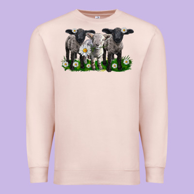Baby Sheeps With Daisies Premium Sweatshirt Designed By Lillyallendesigns