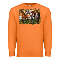 Carrot 2 horses at the ranch Premium Sweatshirt - LillyAllenDesigns