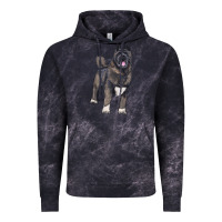 Cloud Black American akita Vintage Hoodie - RanaPortraitStore