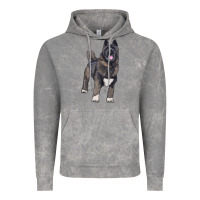 Cloud Rock American akita Vintage Hoodie - RanaPortraitStore