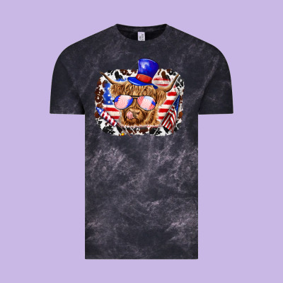 Vintage Tee 4th of july cow