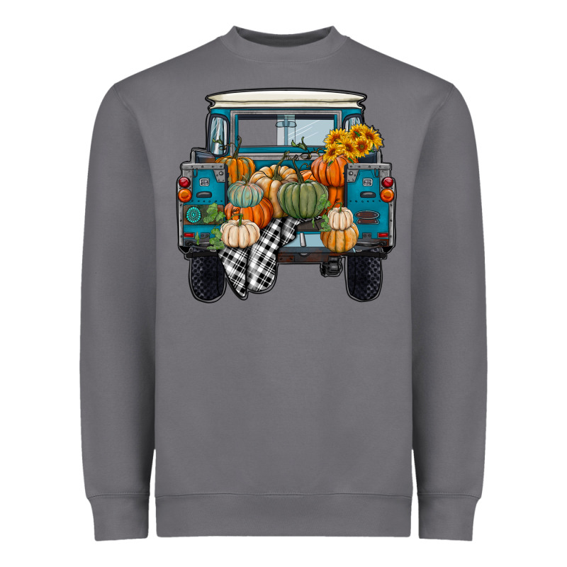 Fall Pumpkin Farm Truck Heavyweight Sweatshirt by RanaPortraitStore | Teevron