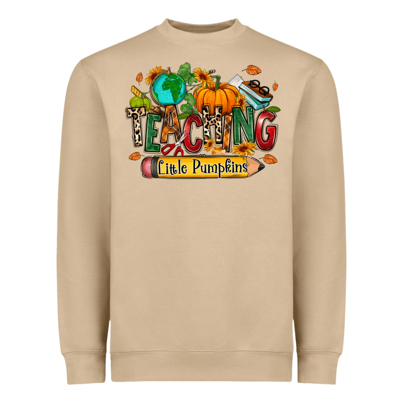 Teaching Little Pumpkins Heavyweight Sweatshirt by RanaPortraitStore | Teevron