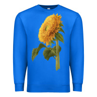 True Royal teddy bear sunflower Premium Sweatshirt - LillyAllenDesigns