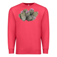 Cardinal cob beehive cactus Premium Sweatshirt - LillyAllenDesigns