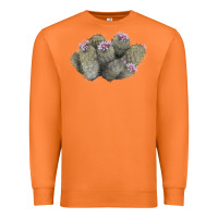 Carrot cob beehive cactus Premium Sweatshirt - LillyAllenDesigns